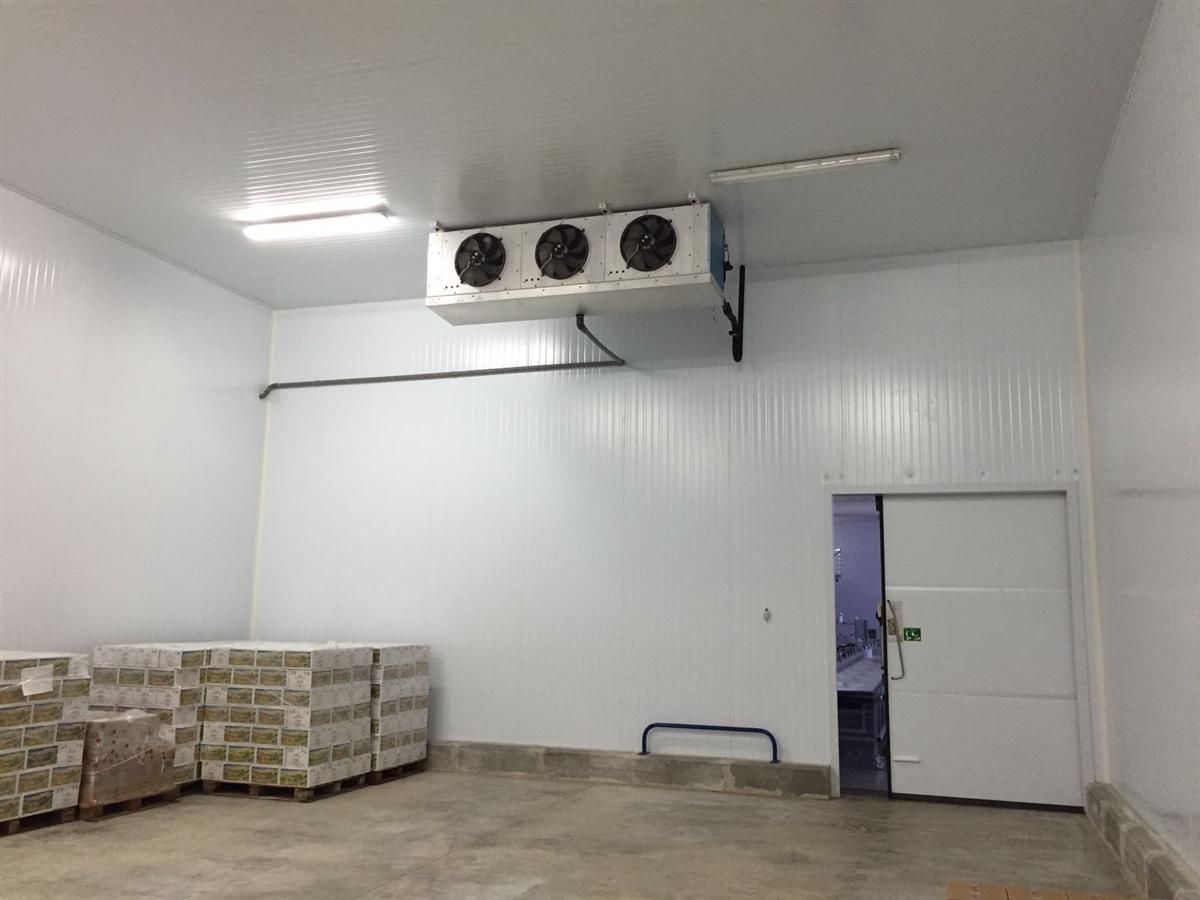 Cella di conservazione 09